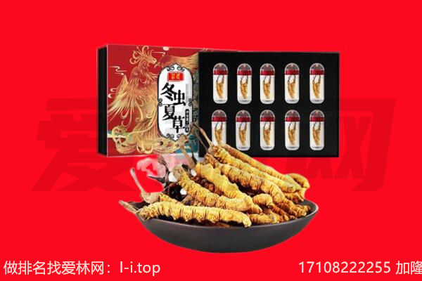 新城区回收虫草.jpg